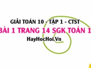 Giải bài 1 trang 14 Toán 10 tập 1 SGK Chân trời sáng tạo